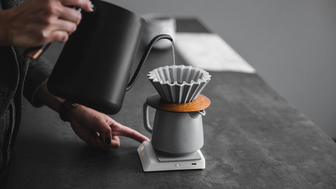 Ninja Coffee Maker: Brewing Excellence and Innovation - Indonesia